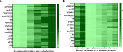 Variation in nitrogen partitioning and reproductive stage nitrogen remobilization determines nitrogen grain production efficiency (NUEg) in diverse rice genotypes under varying nitrogen supply
